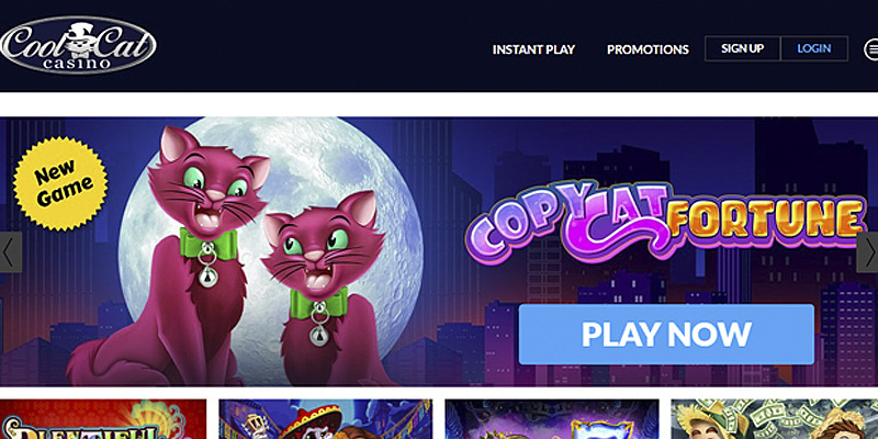 Cool cat casino official website